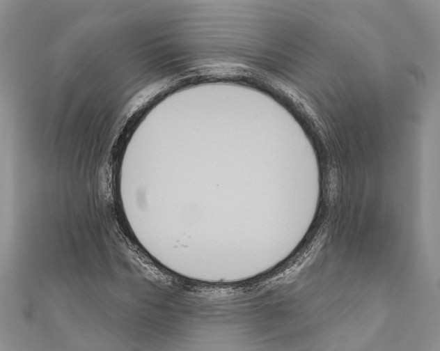 X0000110700970200907241121