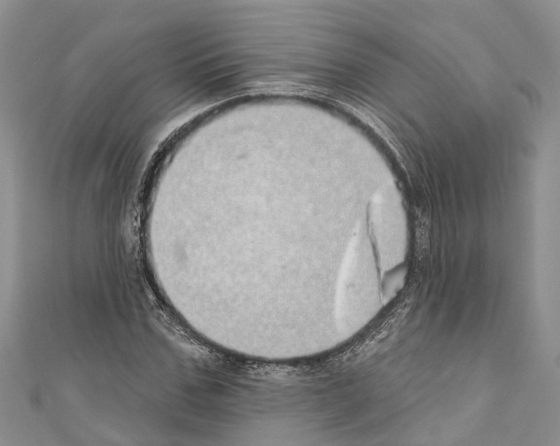 X0000110700971200907241121
