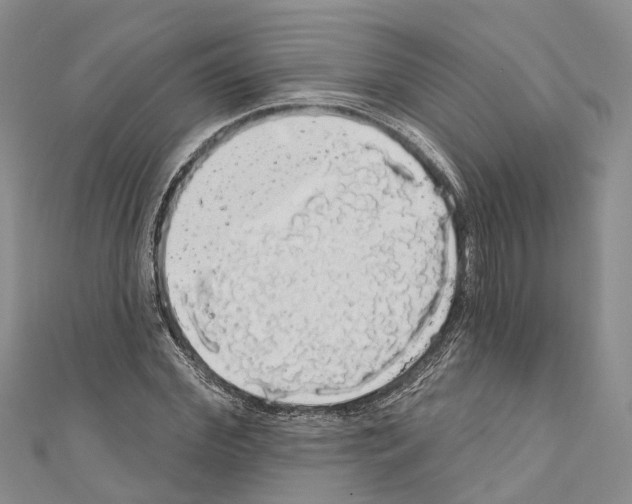 X0000110700972200907241121