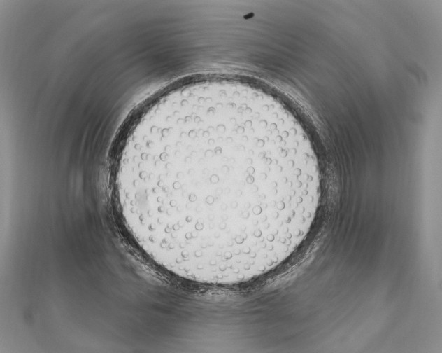 X0000110700974200907241121