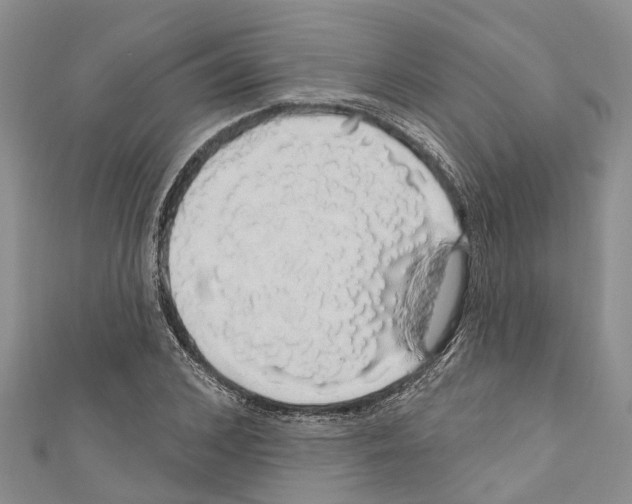 X0000110700976200907241121