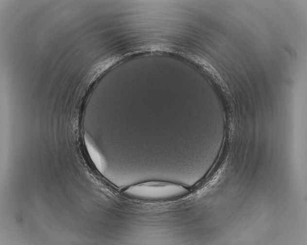 X0000110700977200907241121