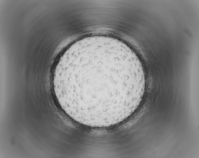 X0000110700978200907241121