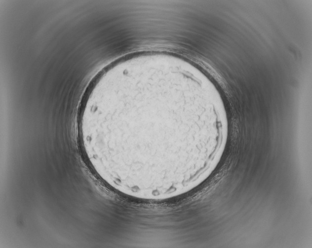X0000110700980200907241121