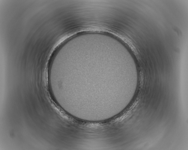 X0000110700982200907241121