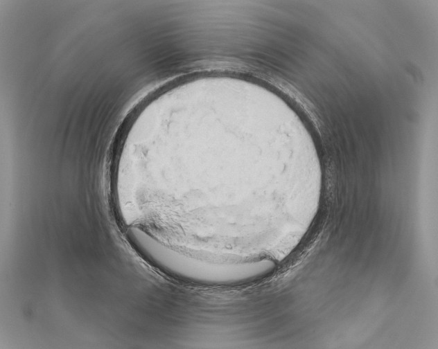 X0000110700983200907241121