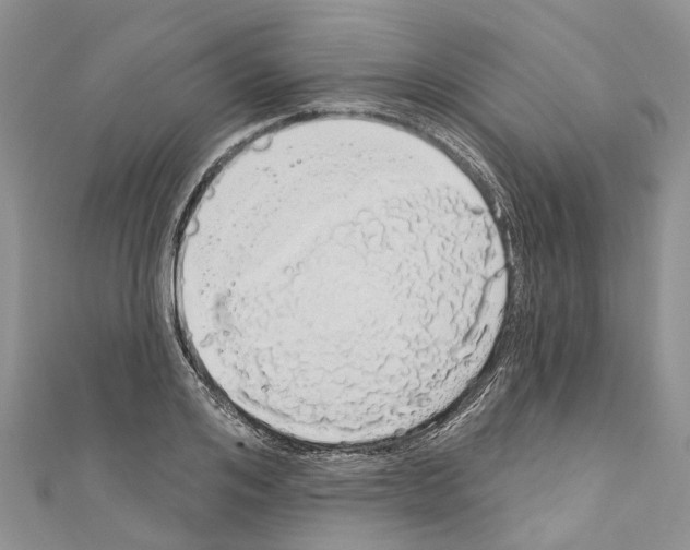 X0000110700984200907241121