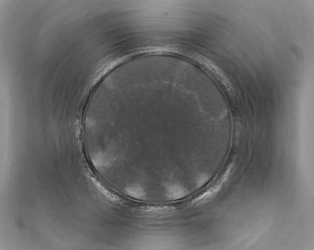 X0000110700985200907241121