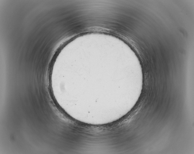 X0000110700987200907241121