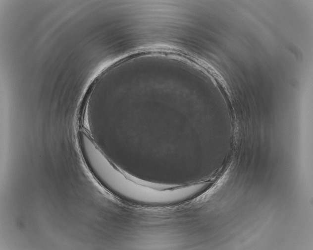 X0000110700989200907241121
