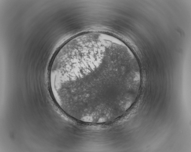 X0000110700990200907241121
