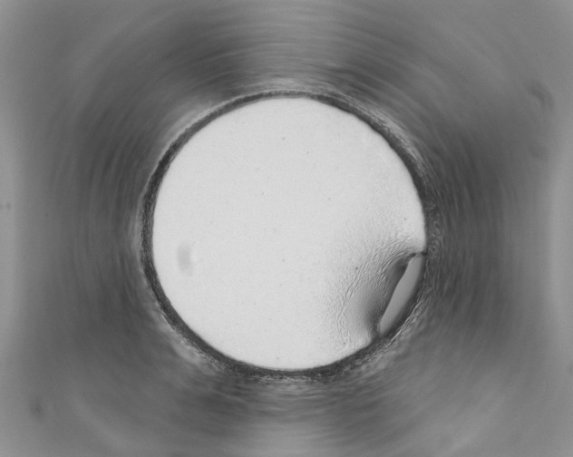 X0000110700991200907241121