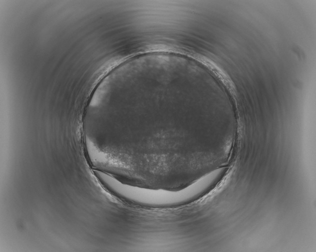 X0000110700993200907241121