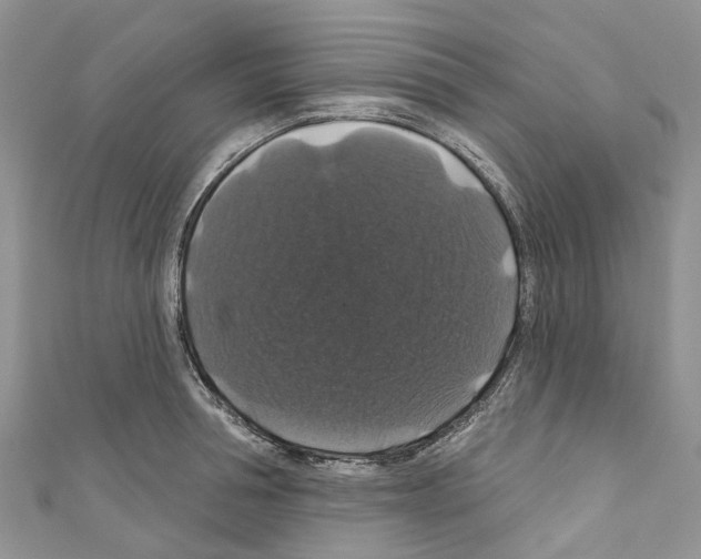 X0000110700994200907241121