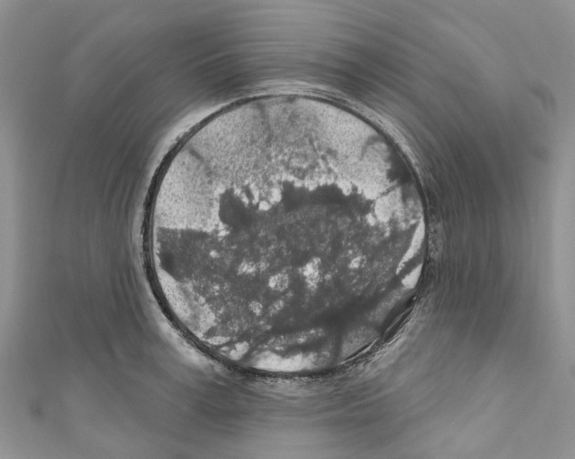 X0000110700995200907241121