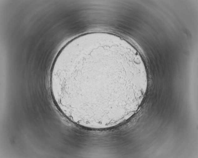X0000110700996200907241121