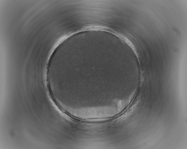 X0000110700997200907241121