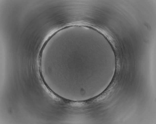 X0000110700998200907241121