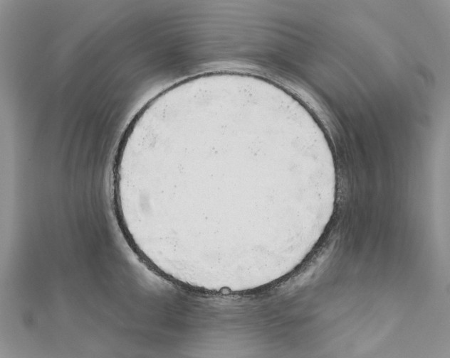 X0000110700999200907241121