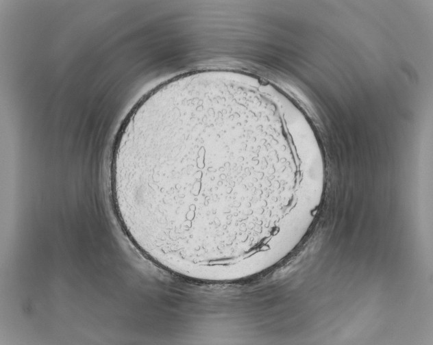 X0000110701000200907241121