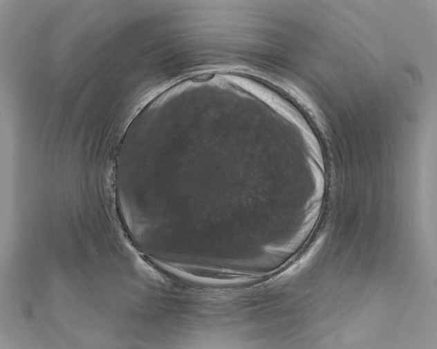 X0000110701001200907241121