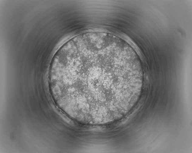 X0000110701002200907241121