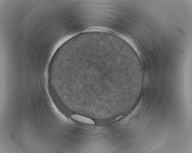 X0000110701003200907241121
