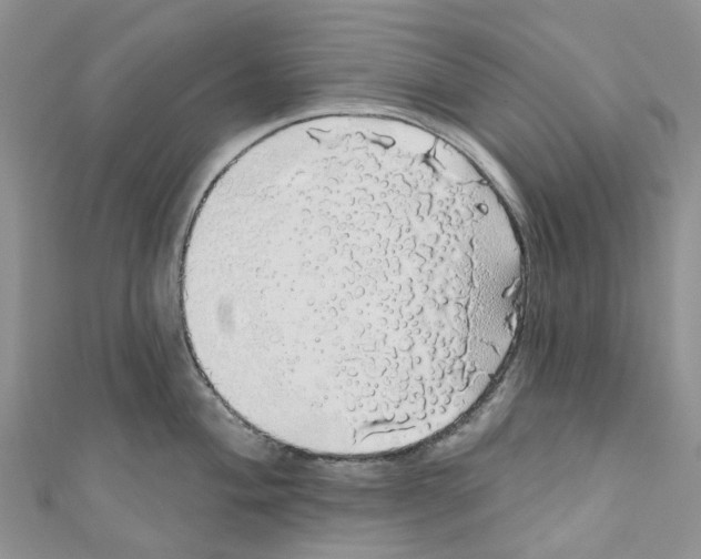 X0000110701004200907241121