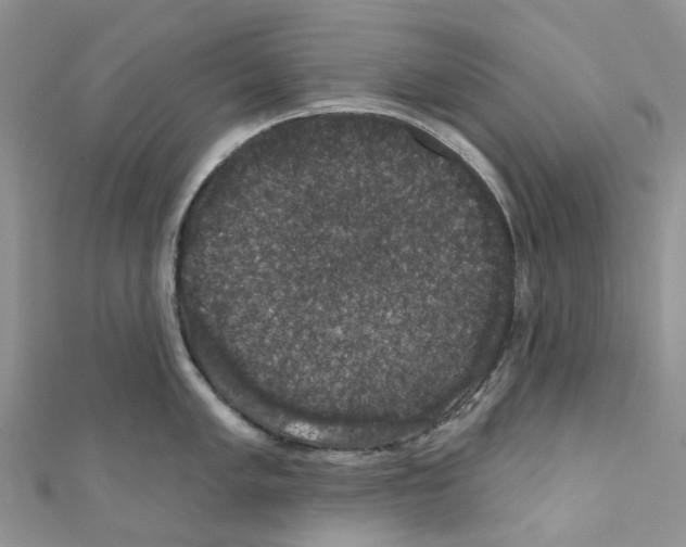 X0000110701005200907241121
