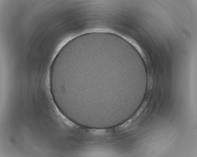 X0000110701006200907241121