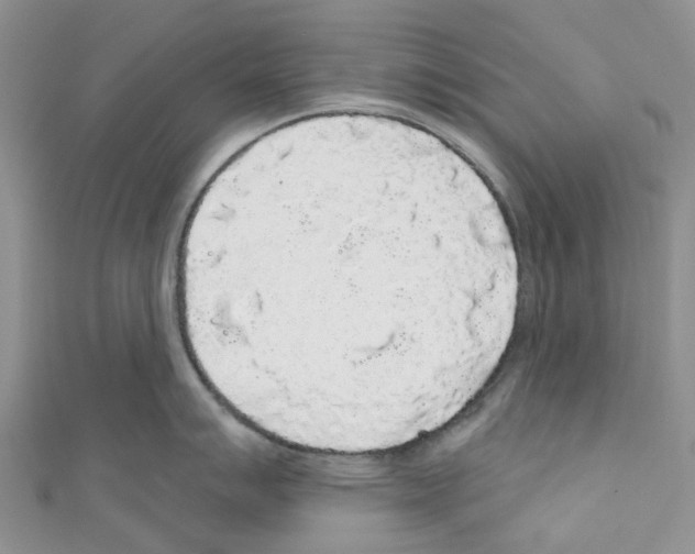 X0000110701007200907241121