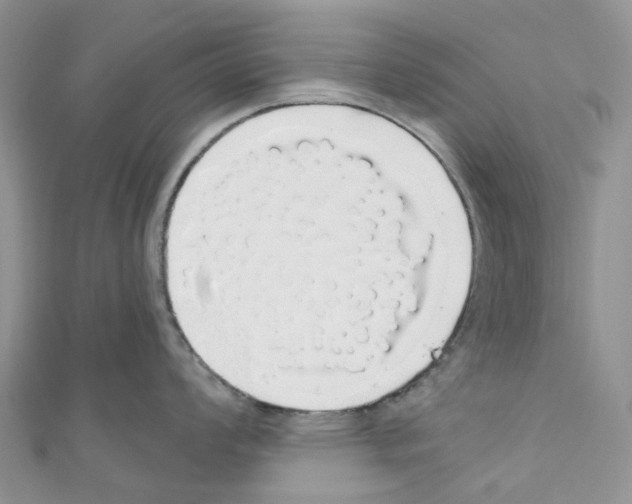 X0000110701008200907241121