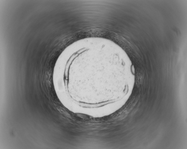 X0000110701010200907241120