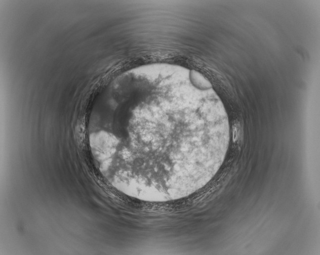 X0000110701011200907241120