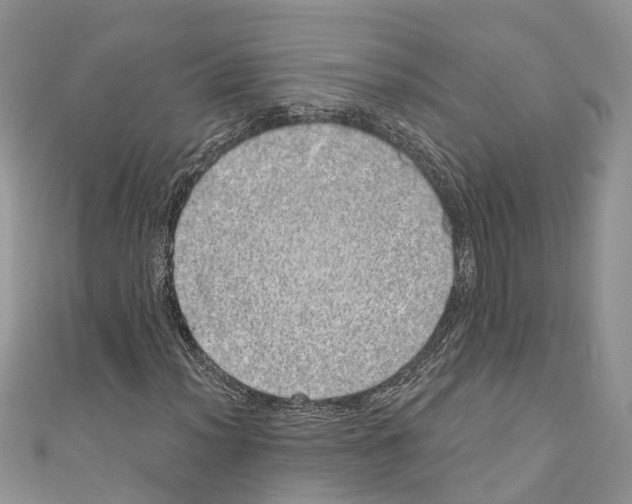 X0000110701012200907241120