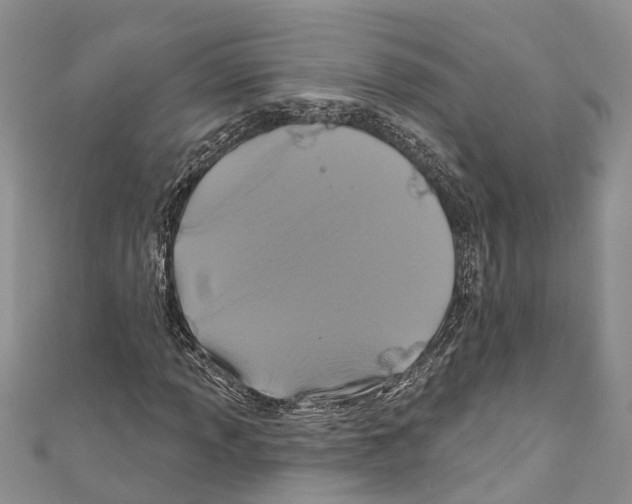 X0000110701013200907241120