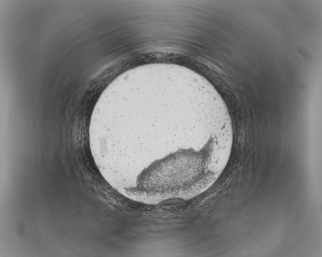 X0000110701014200907241120