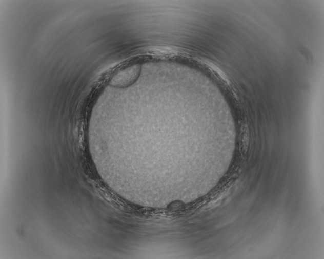 X0000110701016200907241120