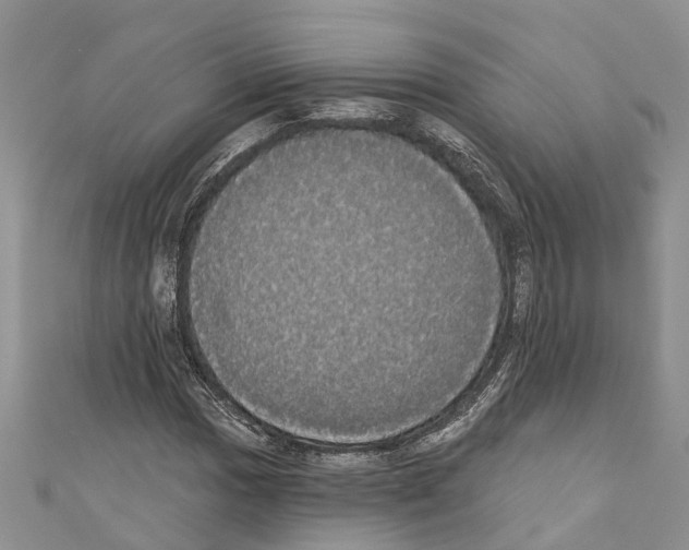 X0000110701017200907241120