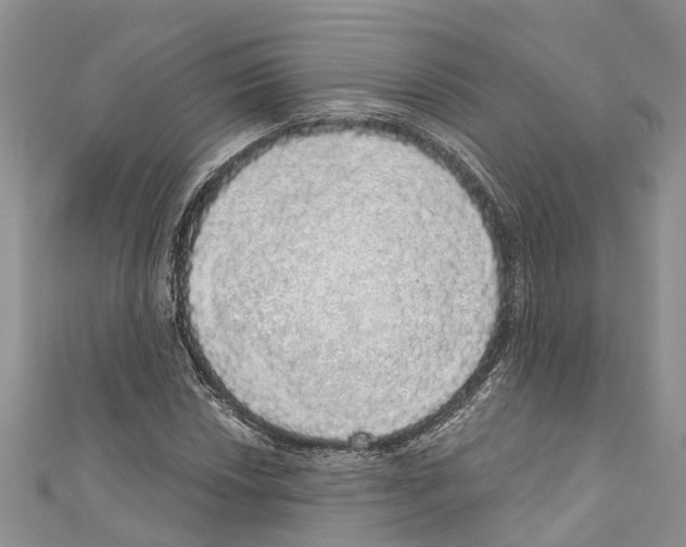 X0000110701018200907241120