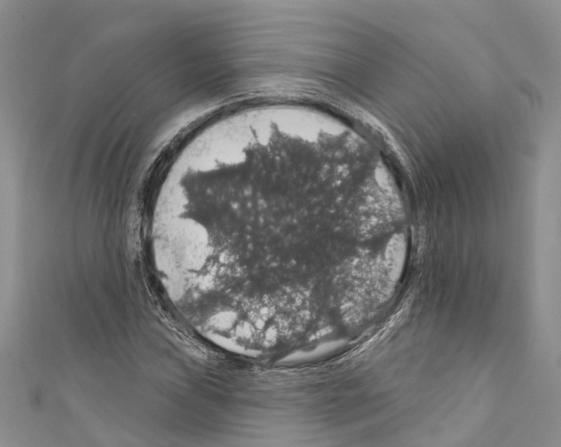 X0000110701019200907241120