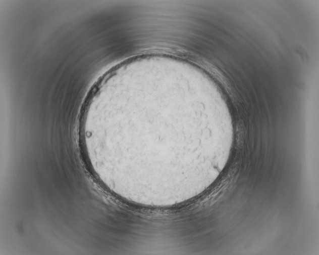 X0000110701020200907241120