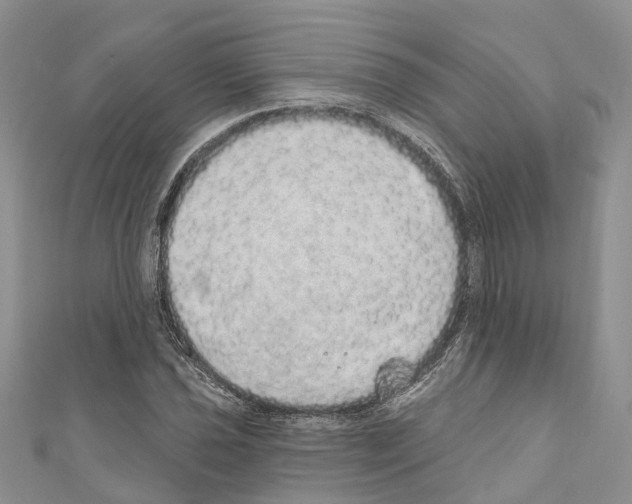 X0000110701021200907241120