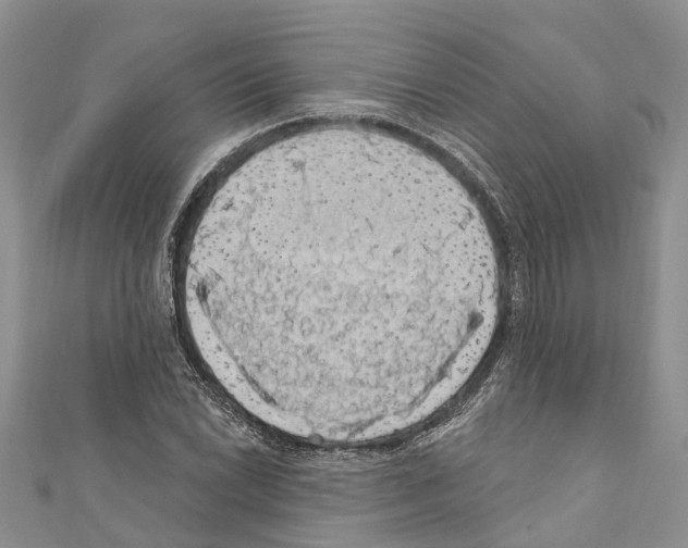 X0000110701022200907241120