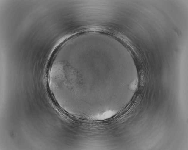 X0000110701024200907241120