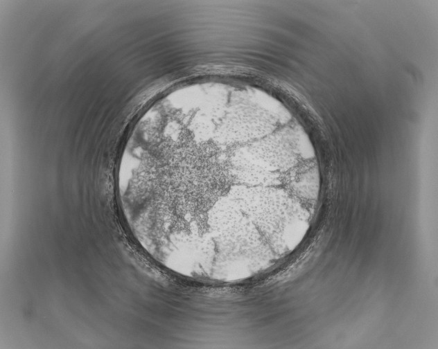 X0000110701025200907241120