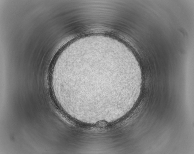 X0000110701026200907241120