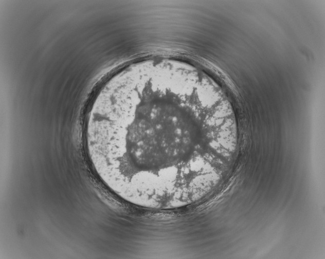 X0000110701027200907241120