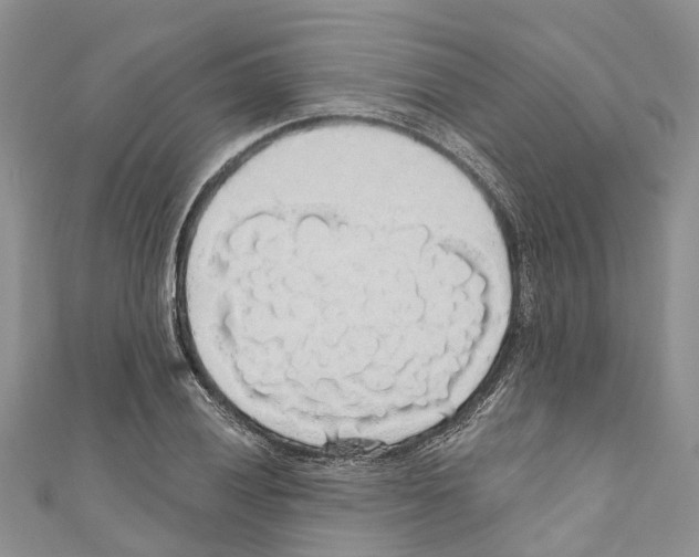 X0000110701028200907241120