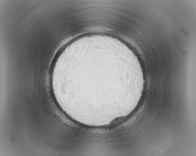X0000110701029200907241120